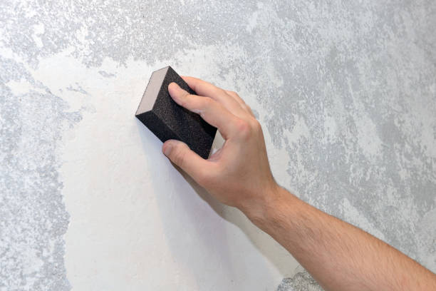 Best Real Estate Mold Inspection  in Carrier Mls, IL