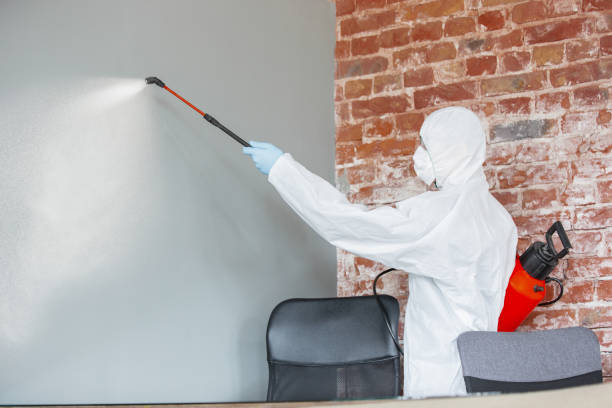 Mold Remediation for Vacation Homes in Carrier Mills, IL