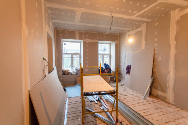 Best Mold Remediation for Healthcare Facilities  in Carrier Mls, IL